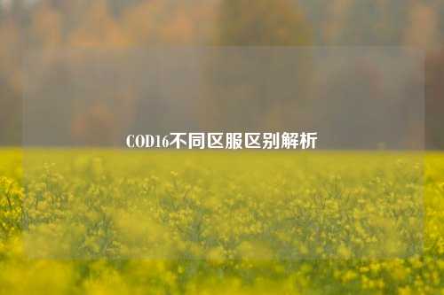 COD16不同区服区别解析