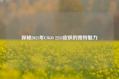 探秘2021年CSGO 2233皮肤的独特魅力