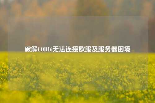 破解COD16无法连接欧服及服务器困境