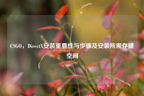 CSGO，DirectX安装重要性与步骤及安装所需存储空间