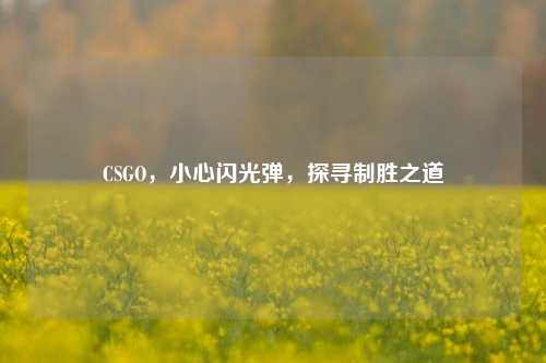 CSGO,小心闪光弹,探寻制胜之道
