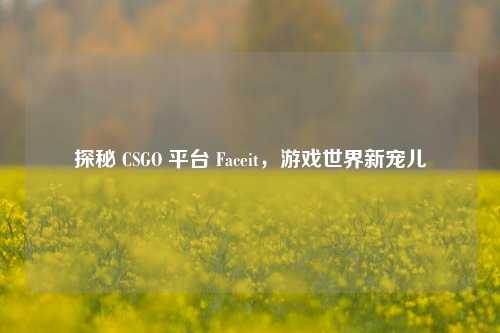 探秘 CSGO 平台 Faceit,游戏世界新宠儿