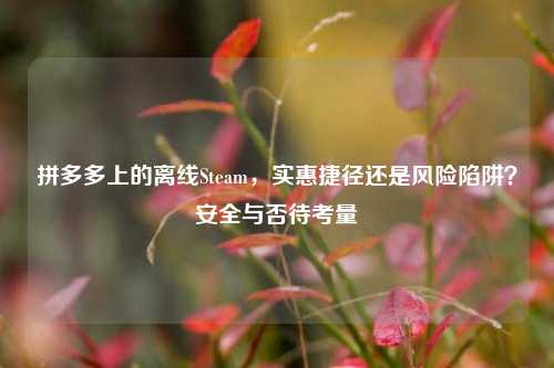 拼多多上的离线Steam，实惠捷径还是风险陷阱？安全与否待考量