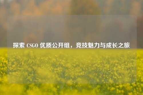 探索 CSGO 优质公开组,竞技魅力与成长之旅