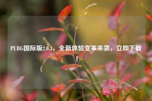 PUBG国际版2.0.3,全新体验变革来袭,立即下载!