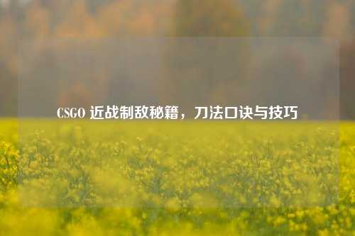 CSGO 近战制敌秘籍,刀法口诀与技巧