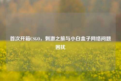 首次开箱CSGO，刺激之旅与小白盒子网络问题困扰