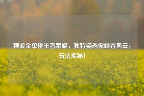 程咬金单挑王者荣耀，独特姿态搅峡谷风云，玩法揭秘！