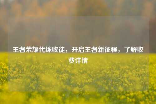 王者荣耀代练收徒，开启王者新征程，了解收费详情