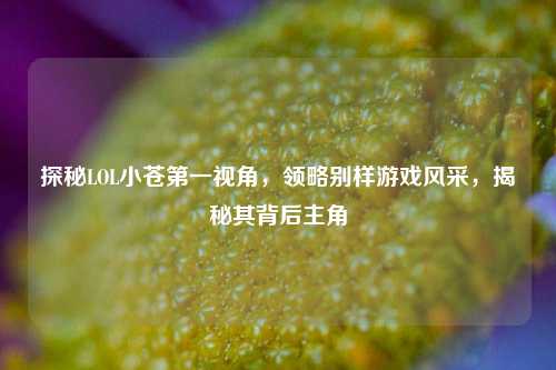 探秘LOL小苍第一视角,领略别样游戏风采,揭秘其背后主角