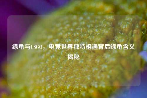 绿龟与CSGO,电竞世界独特相遇背后绿龟含义揭秘