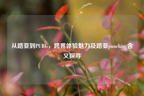 从路亚到PUBG，跨界体验魅力及路亚punching含义探寻
