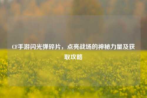 CF手游闪光弹碎片,点亮战场的神秘力量及获取攻略