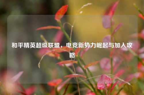 和平精英超级联盟,电竞新势力崛起与加入攻略