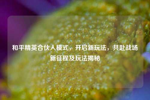 和平精英合伙人模式,开启新玩法,共赴战场新征程及玩法揭秘