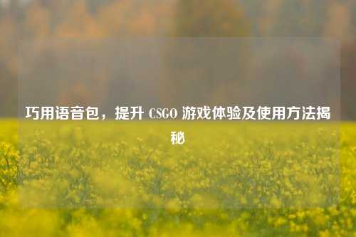 巧用语音包,提升 CSGO 游戏体验及使用方法揭秘