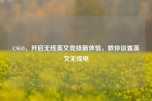 CSGO,开启无线英文竞技新体验,教你设置英文无线电