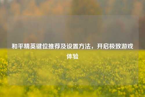 和平精英键位推荐及设置方法,开启极致游戏体验