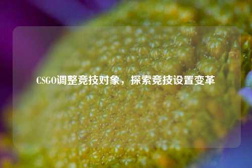 CSGO调整竞技对象,探索竞技设置变革