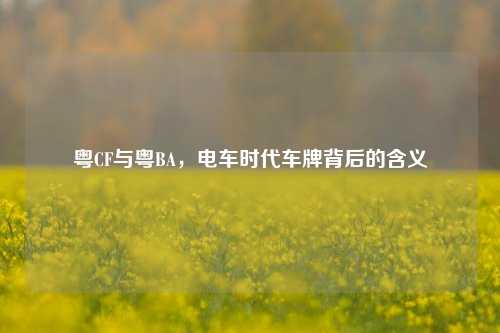 粤CF与粤BA,电车时代车牌背后的含义