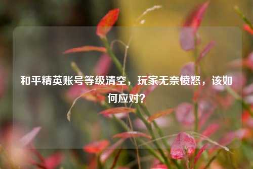 和平精英账号等级清空,玩家无奈愤怒,该如何应对?