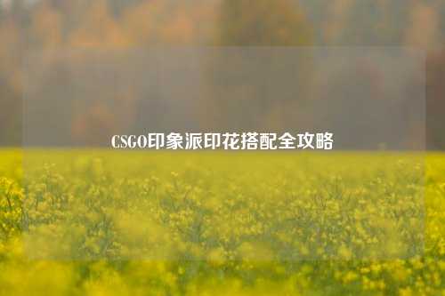 CSGO印象派印花搭配全攻略