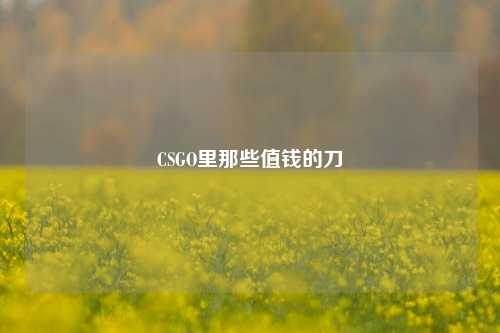 CSGO里那些值钱的刀