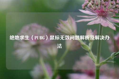 绝地求生(PUBG)鼠标无效问题解析及解决办法