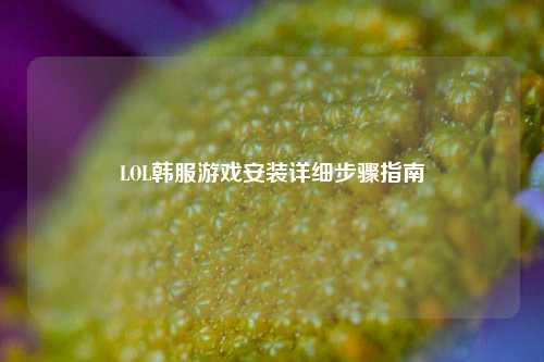 LOL韩服游戏安装详细步骤指南