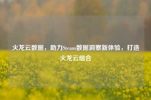 火龙云数据,助力Steam数据洞察新体验,打造火龙云组合