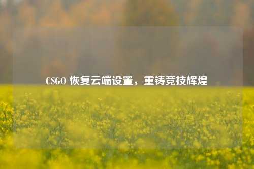 CSGO 恢复云端设置,重铸竞技辉煌