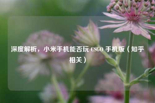 深度解析,小米手机能否玩 CSGO 手机版(知乎相关)