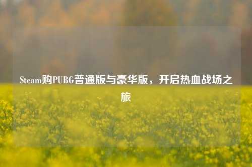 Steam购PUBG普通版与豪华版,开启热血战场之旅