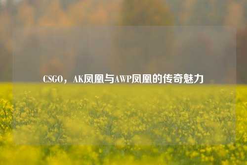 CSGO,AK凤凰与AWP凤凰的传奇魅力