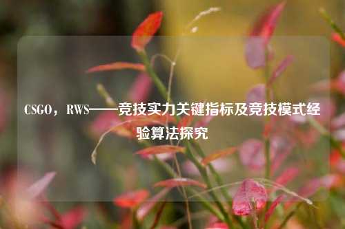 CSGO,RWS——竞技实力关键指标及竞技模式经验算法探究