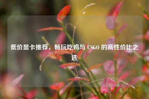 低价显卡推荐,畅玩吃鸡与 CSGO 的高性价比之选