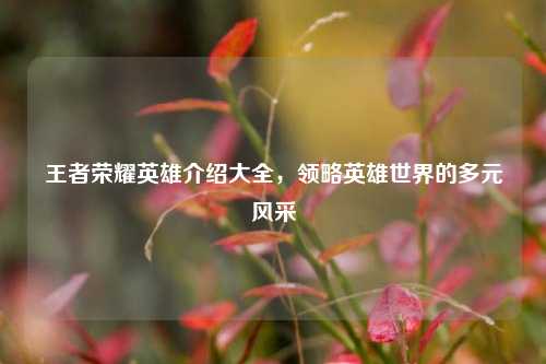 王者荣耀英雄介绍大全,领略英雄世界的多元风采