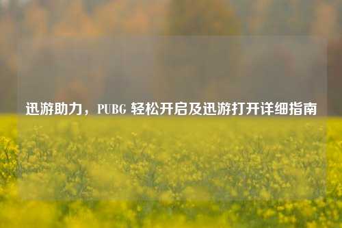 迅游助力，PUBG 轻松开启及迅游打开详细指南