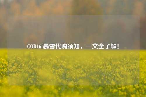 COD16 暴雪代购须知，一文全了解！