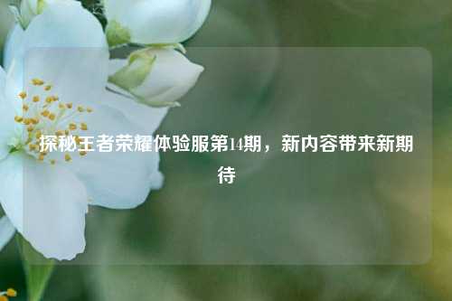 探秘王者荣耀体验服第14期,新内容带来新期待