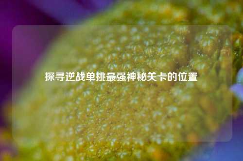 探寻逆战单挑最强神秘关卡的位置