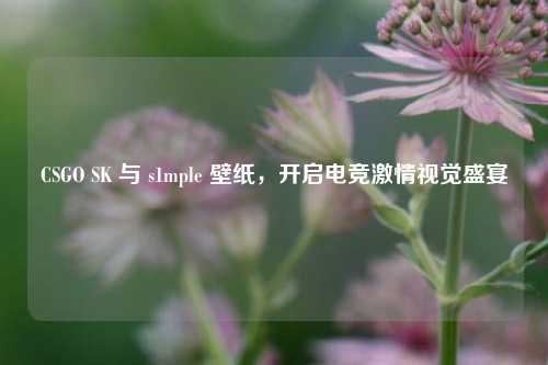 CSGO SK 与 s1mple 壁纸,开启电竞激情视觉盛宴