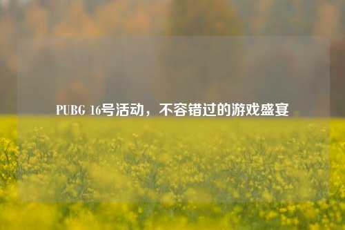 PUBG 16号活动,不容错过的游戏盛宴