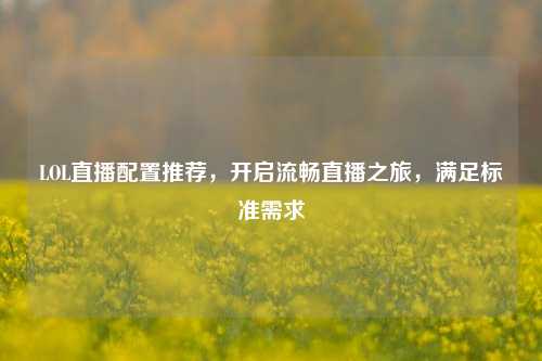 LOL直播配置推荐,开启流畅直播之旅,满足标准需求