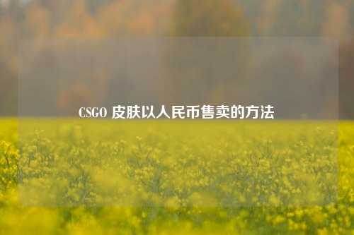 CSGO 皮肤以人民币售卖的方法