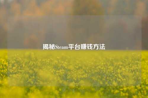 揭秘Steam平台赚钱方法