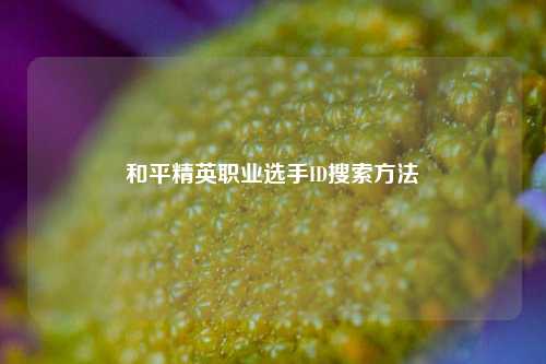 和平精英职业选手ID搜索方法