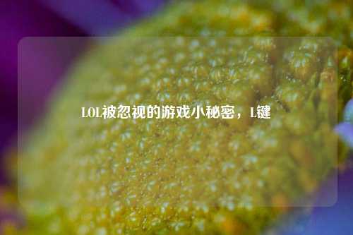 LOL被忽视的游戏小秘密,L键
