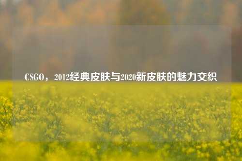 CSGO,2012经典皮肤与2020新皮肤的魅力交织