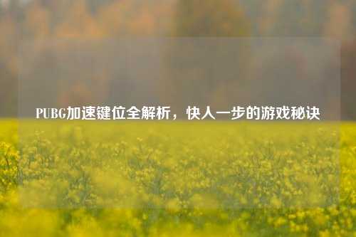 PUBG加速键位全解析,快人一步的游戏秘诀